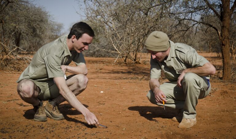 Fieldguide South Africa