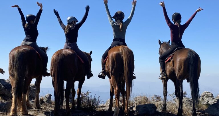 Pferdefarm in Südafrika