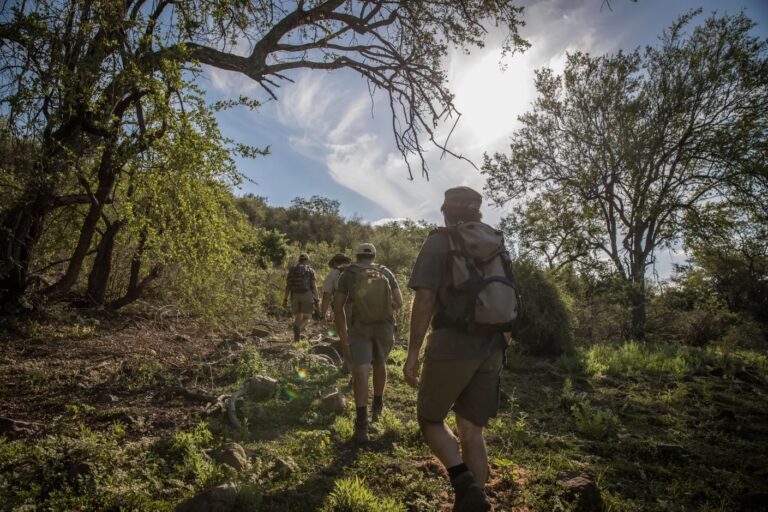 natur-und-rangerkurs-afrika-professional-field-guide-ranger-walk-natucate-2