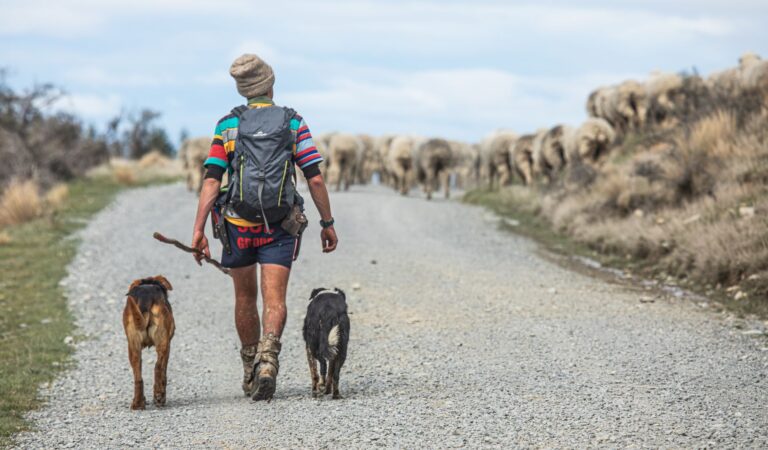 Junge Reisende arbeitet als Backpacker in Australien und verbindet Jobben mit Reisen durchs Land